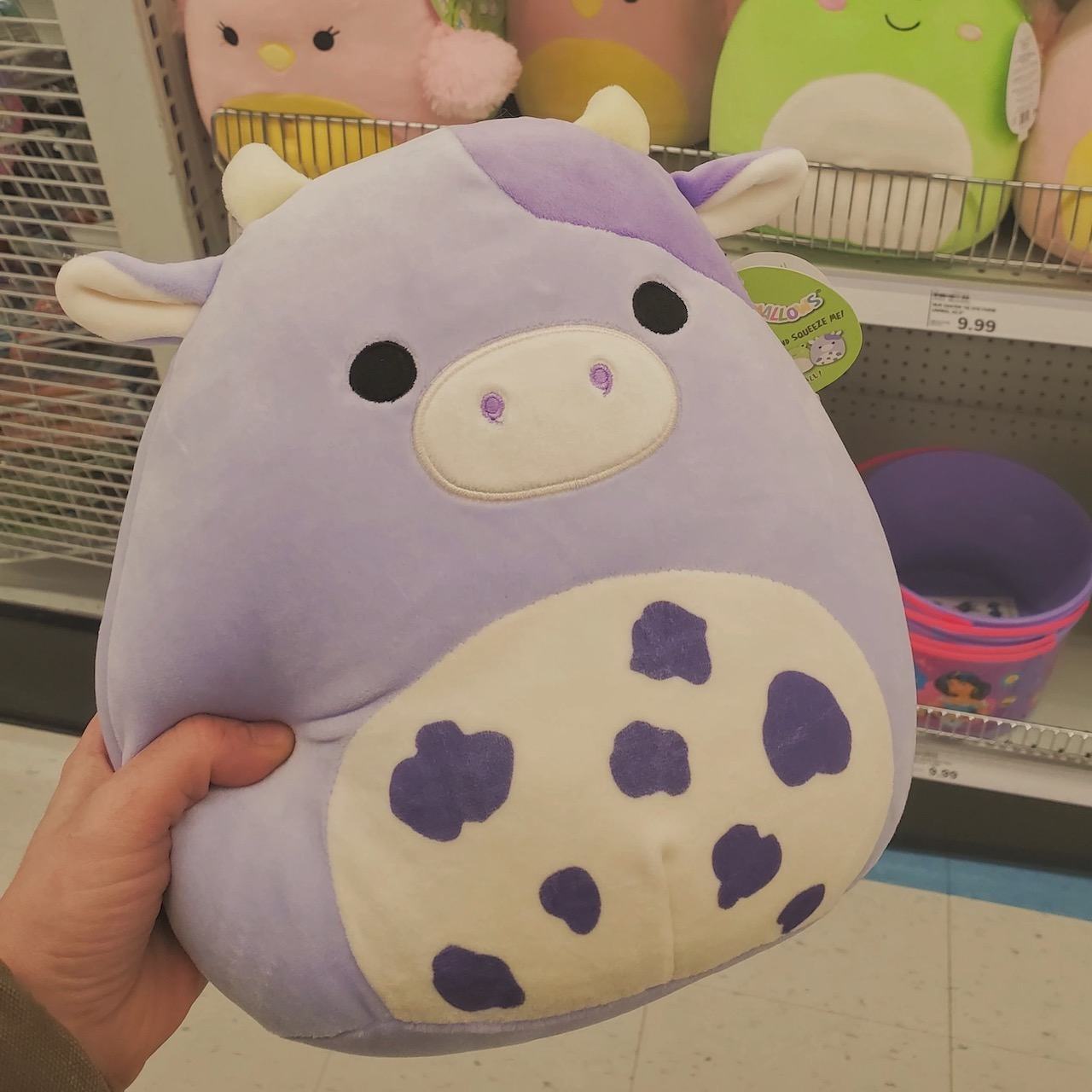 squishmallow bull